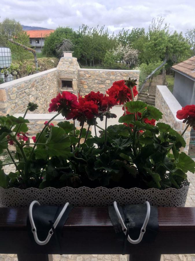 Casa Freixedelo Villa Santa Comba de Rossas Екстериор снимка